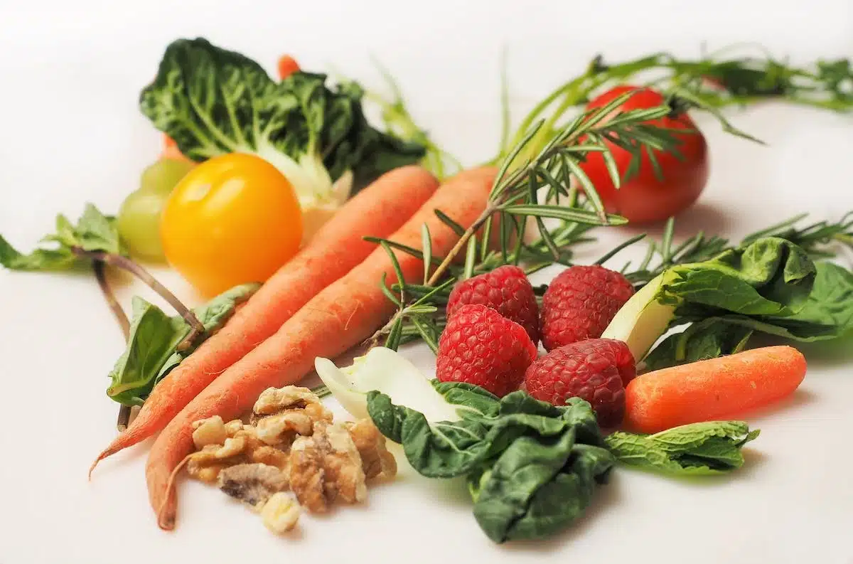 nutrition sportive