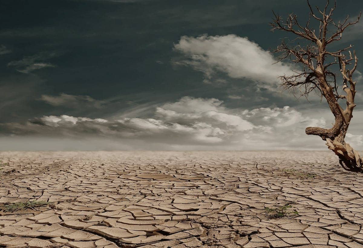 réchauffement climatique